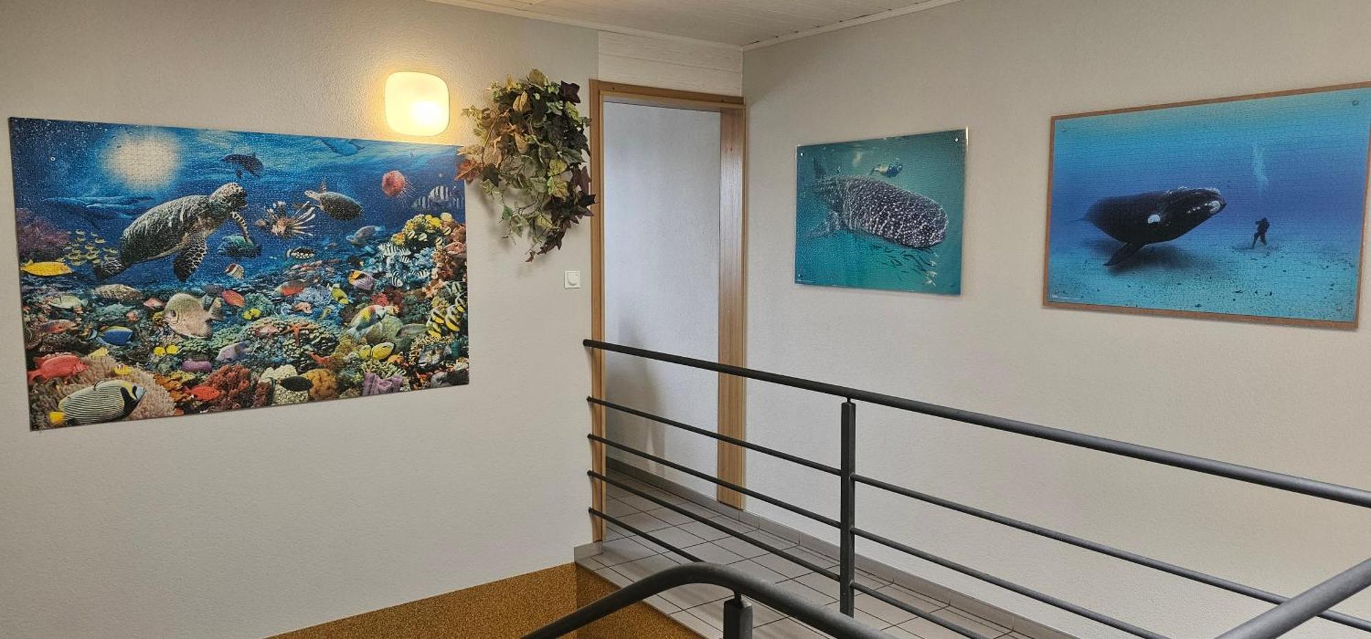 Budziar - Kwatery Nad Morzem Ujście-Darłowskie Eksteriør bilde